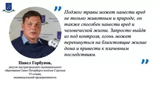 Пал травы: разные последствия одной глупости