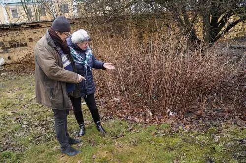 Вместе мы — Стрельна