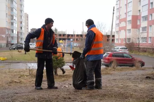 Дневник весенней уборки