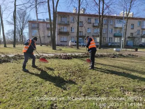 Дневник весенней уборки