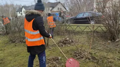 Дневник весенней уборки