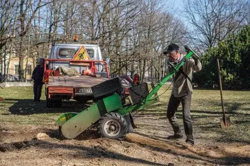 Дневник благоустройства