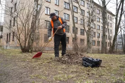 Дневник весенней уборки