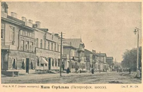Стрельнинские адреса. 1917 год