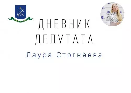 Дневник депутата
