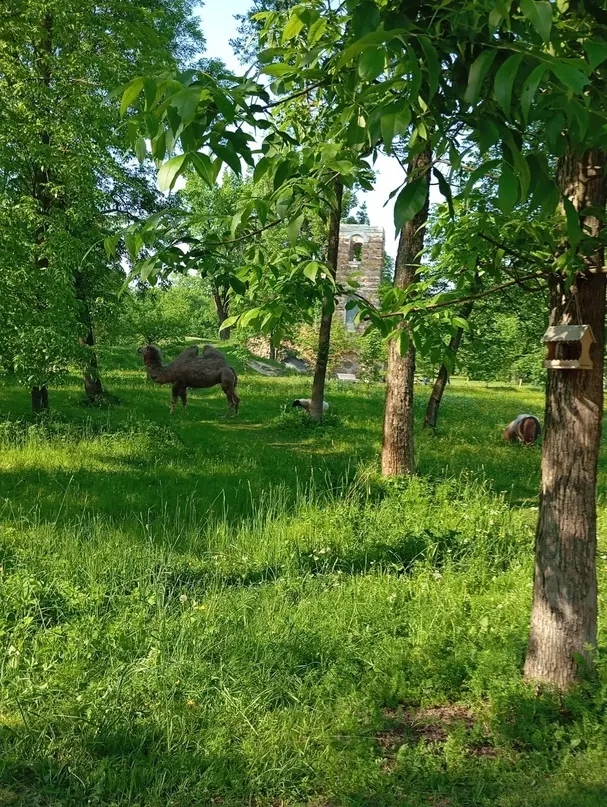 Народная журналистика: вечерний моцион