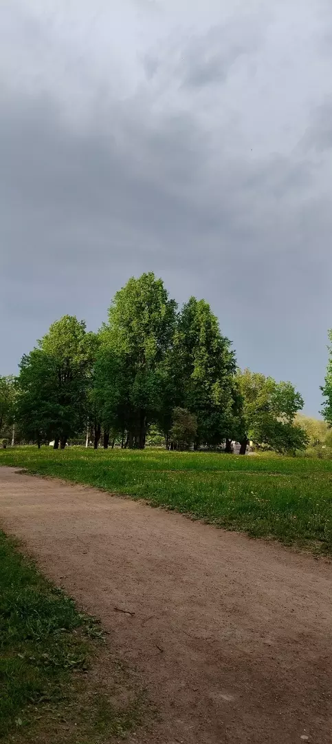 Народная журналистика