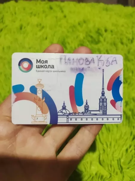 Стрельнинские потеряшки: своих хозяев ждёт школьная и банковская карта