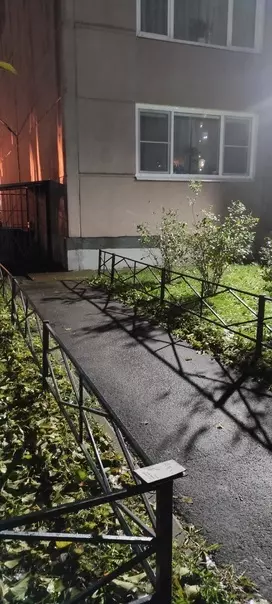 Находки в Стрельне