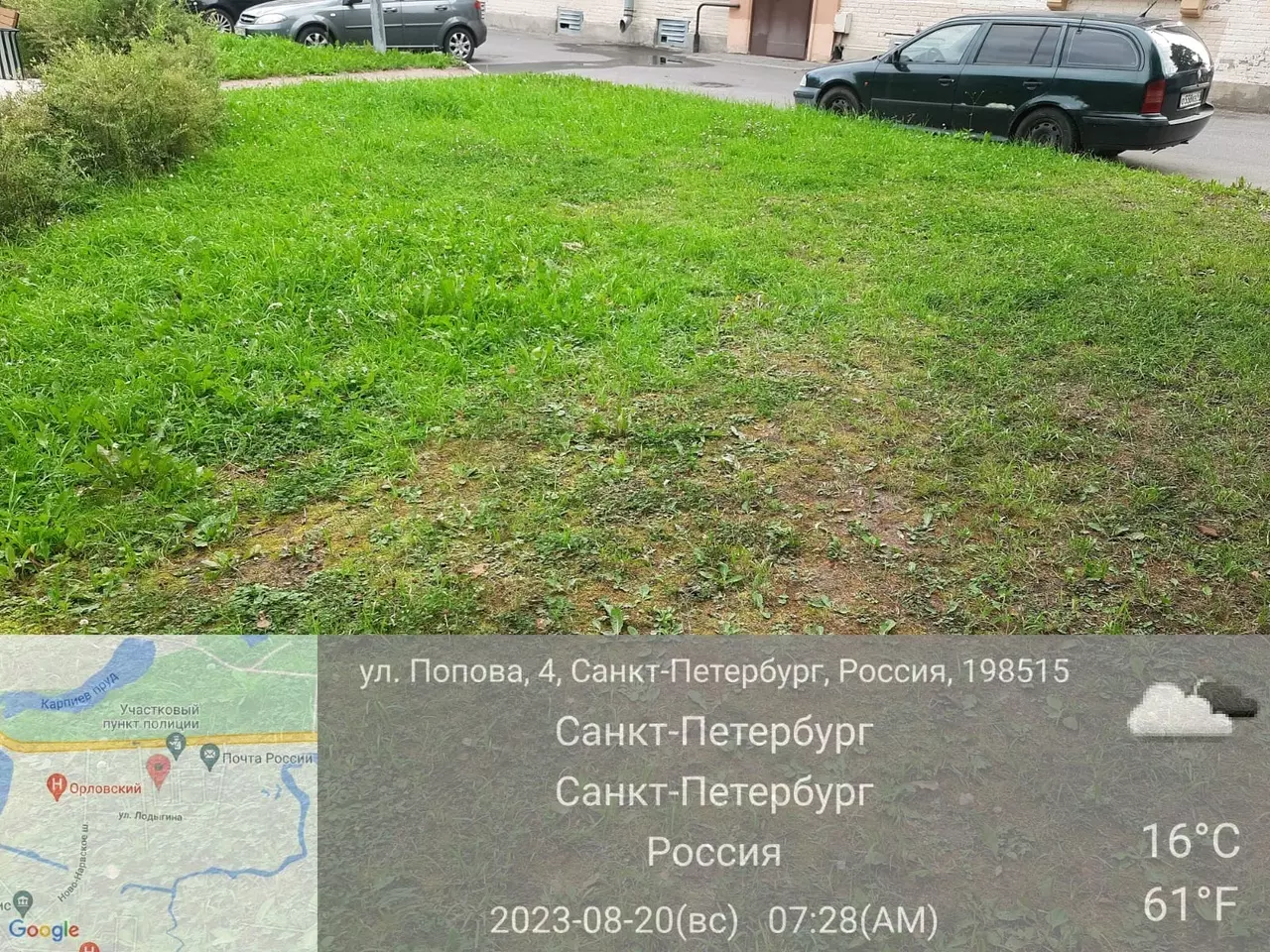 Дневник благоустройства Стрельны 20.08.2023