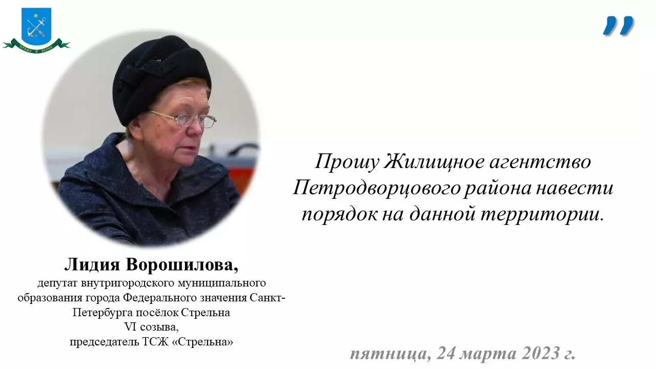 Кто ответственен за вывоз мусора с улицы Гоголя в Стрельне?