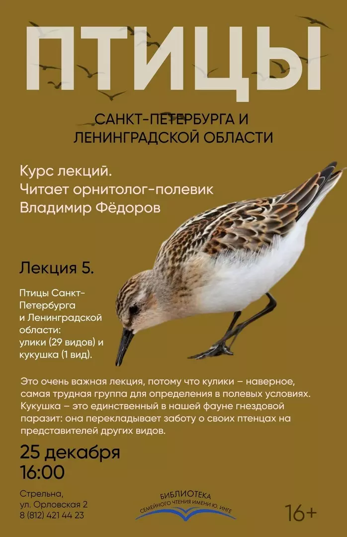 На курс орнитологических лекций жителей Стрельны приглашает депутат Лаура Макеева