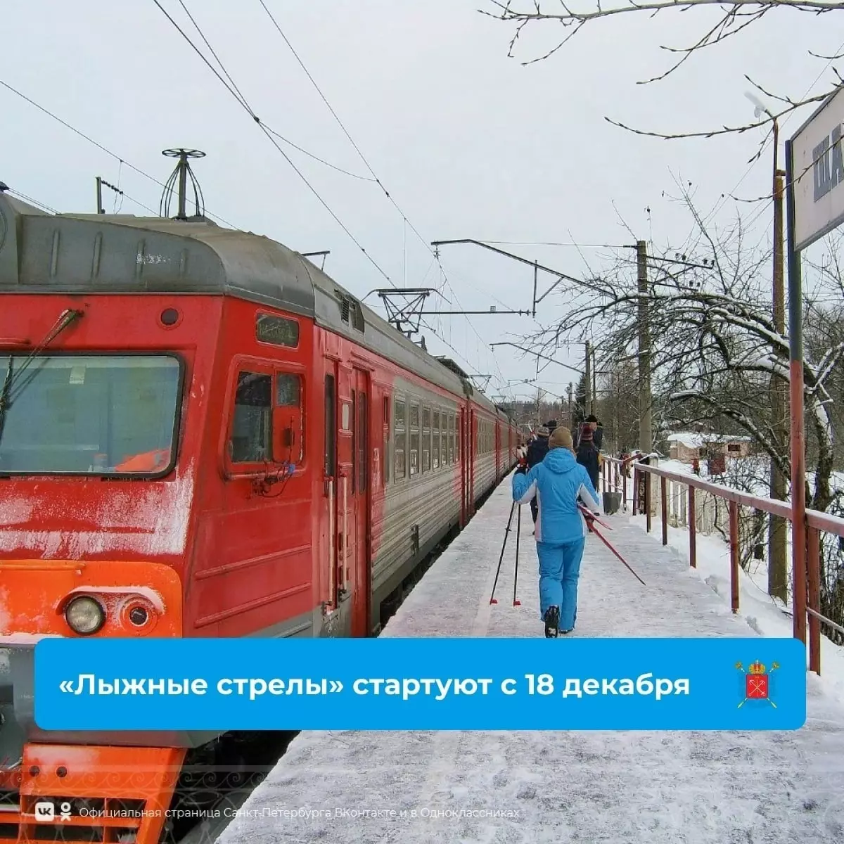 О запуске электропоездов «Лыжные стрелы» сообщила депутат Лаура Макеева