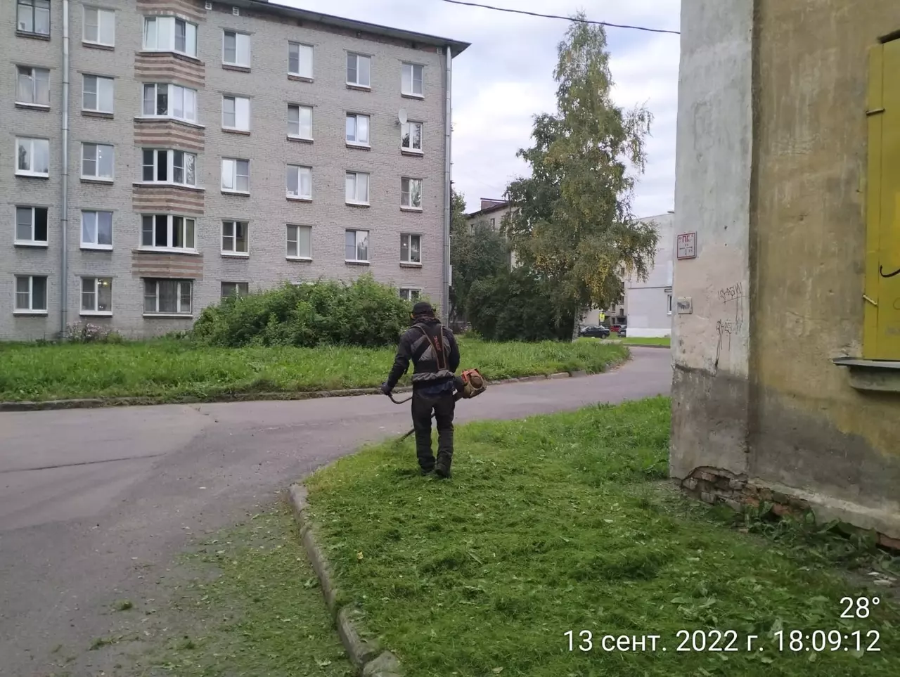 Дневник благоустройства Стрельны от 13.09.2022