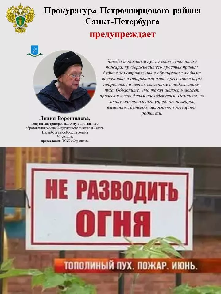 Депутат Лидия Ворошилова, сотрудники МЧС, ПСО И ВДПО про опасность тополиного пуха