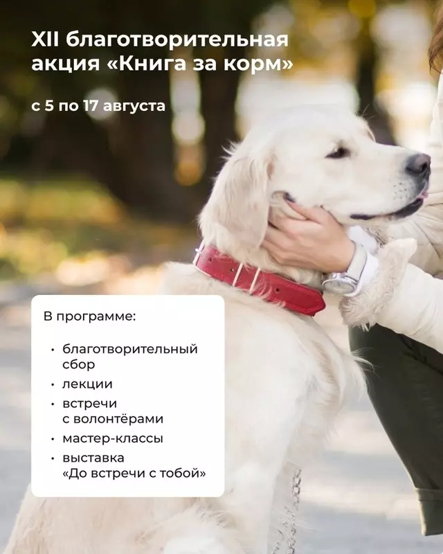 Не нужно быть супергероем или тратить много сил, чтобы помочь животным