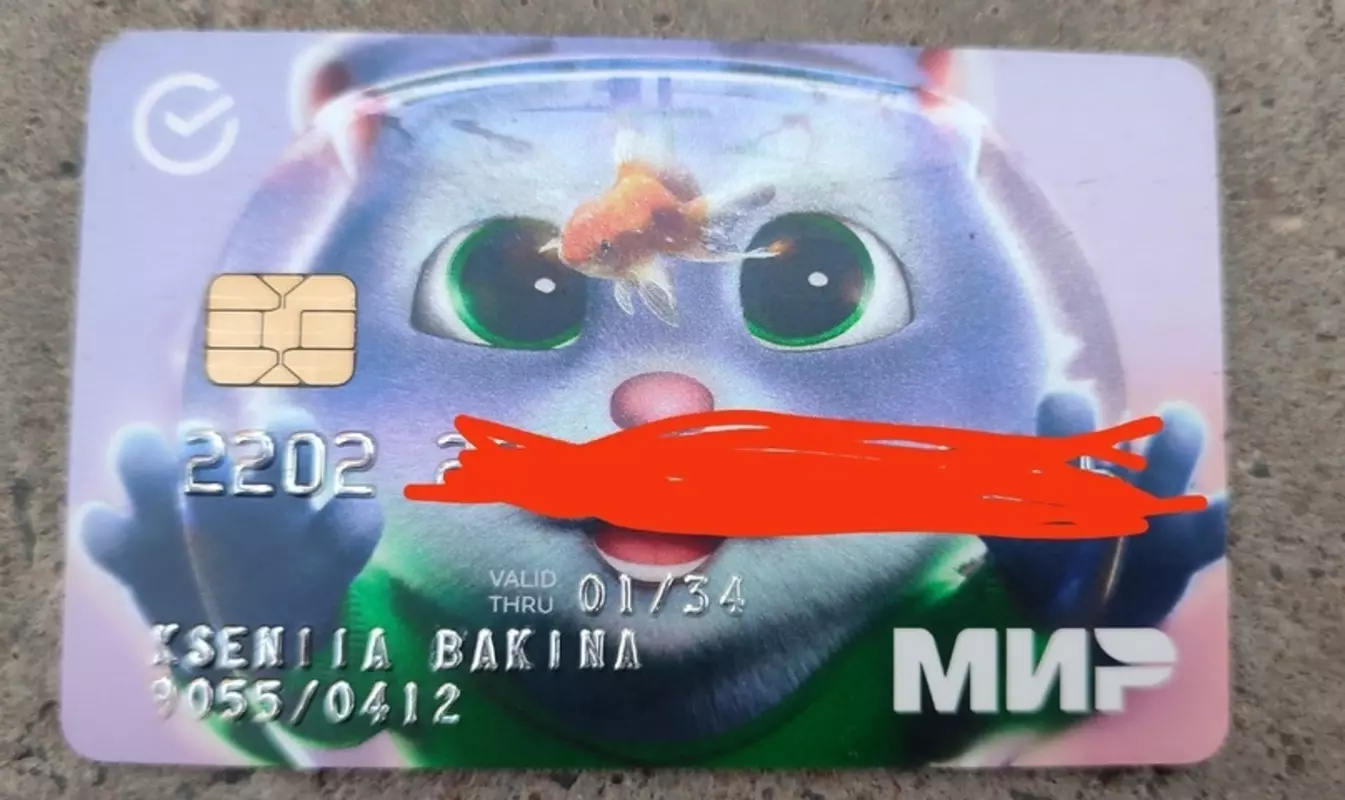 Потеряшки в Стрельне: найдена карта