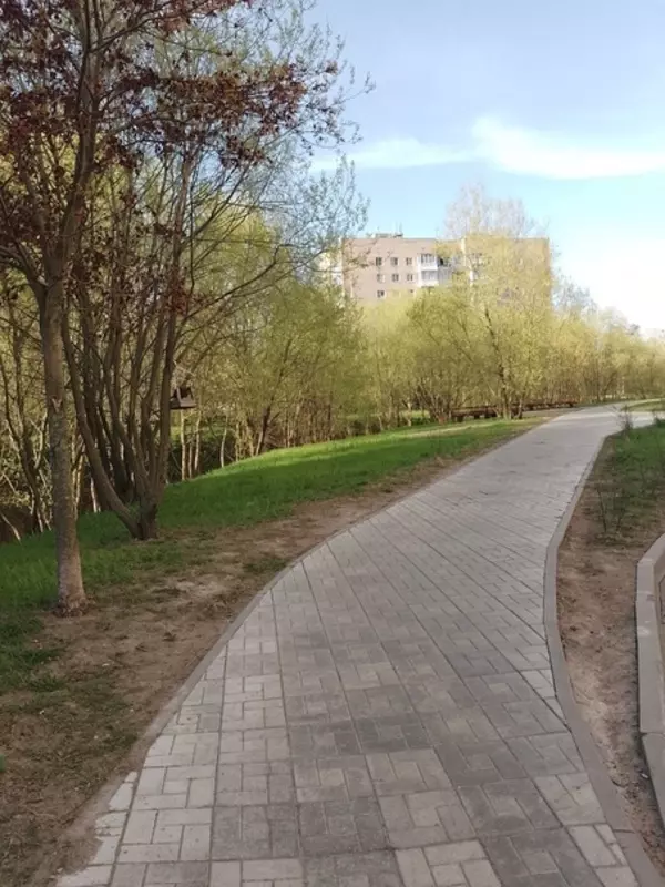 Народная журналистика