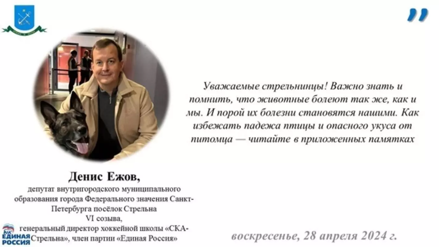 Депутат Денис Ежов: профилактика птичьего гриппа и бешенства у животных