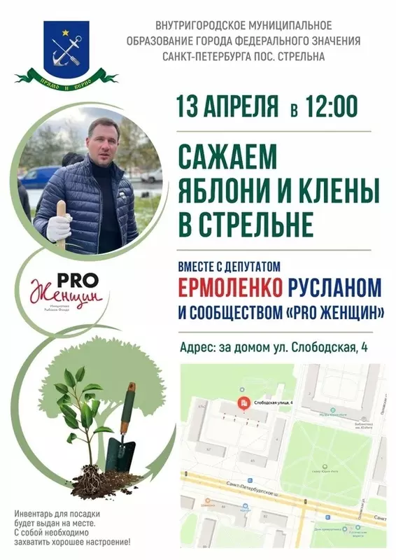 Сажаем вместе яблони и клёны в Стрельне