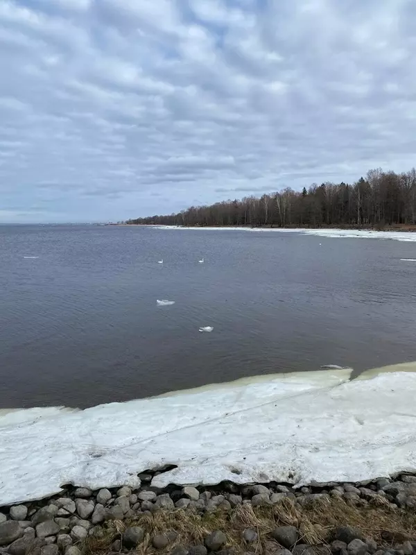 Народная журналистика: сезон купания открыт, но люди опоздали