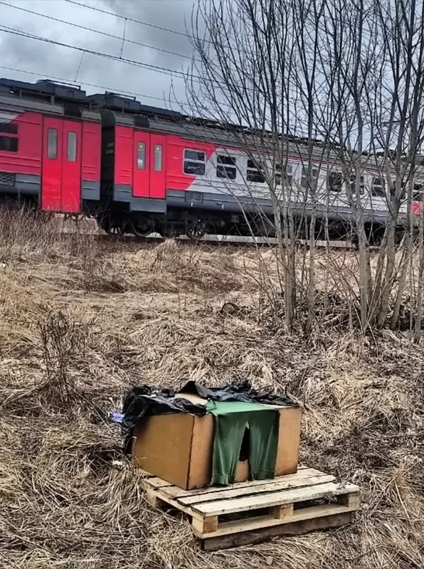 Народная журналистика: дом в районе с хорошей транспортной доступностью