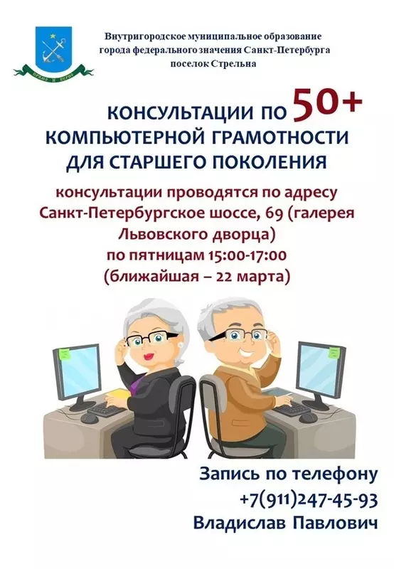 Консультации по компьютерной грамотности в Стрельне