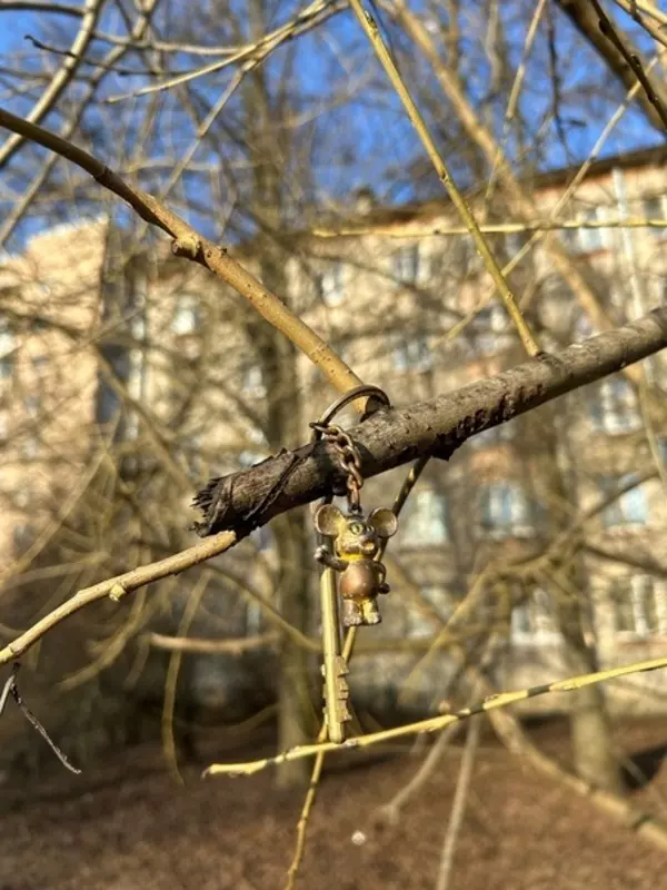 Потеряшки в Стрельне: найдены ключи