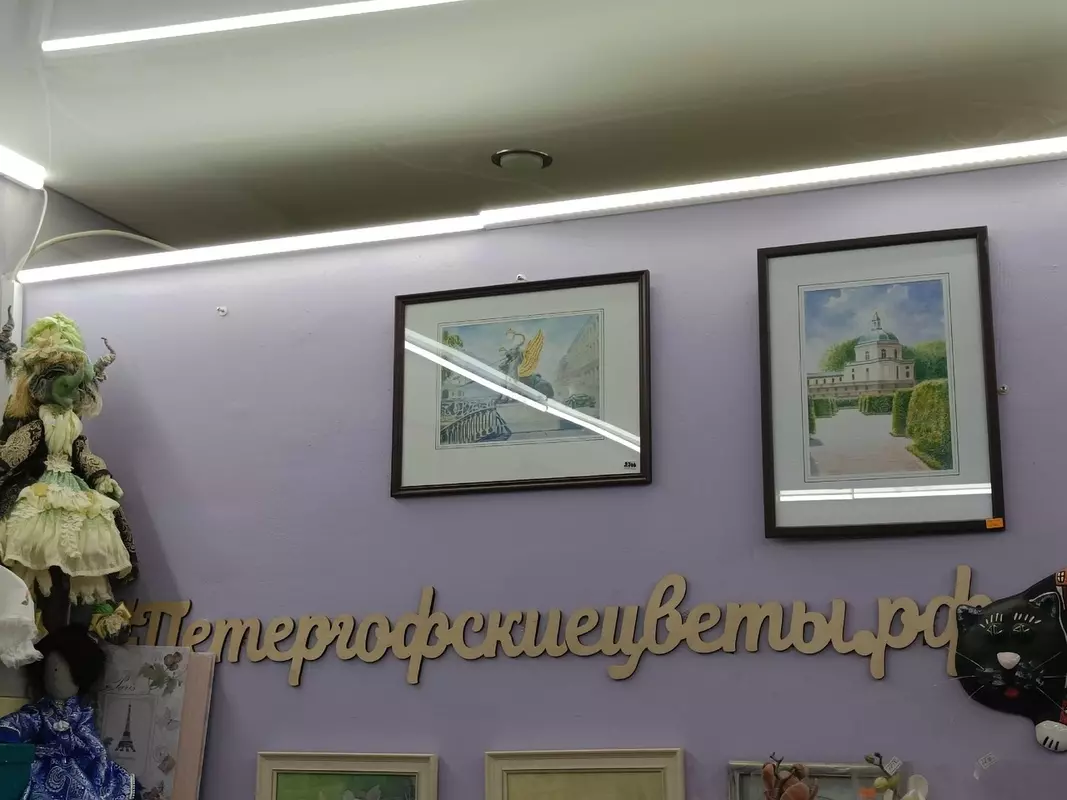 Есть в Стрельне: магазин «Петергофские цветы»