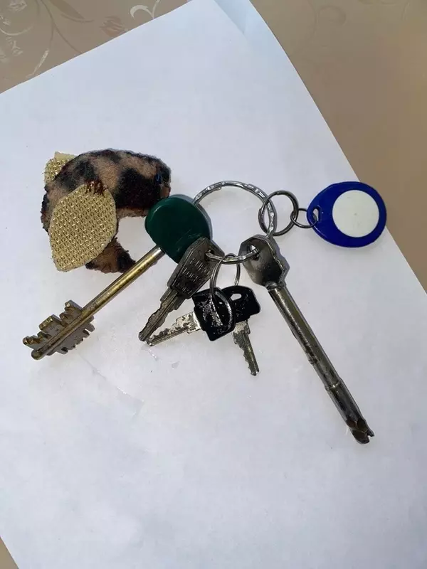 Потеряшки в Стрельне: нашлись ключи