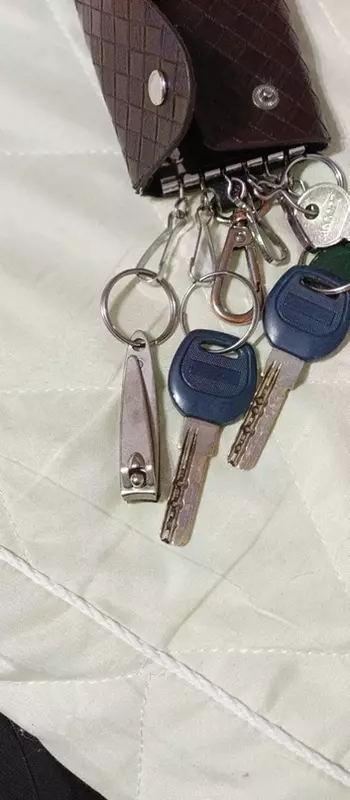Потеряшки в Стрельне: найдены ключи