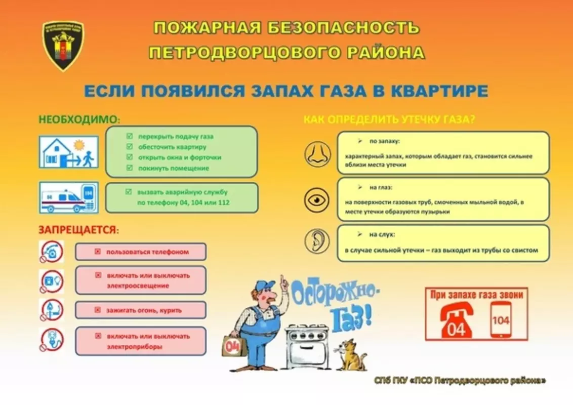 Пожары в Петродворцовом районе: 2023 и 2024