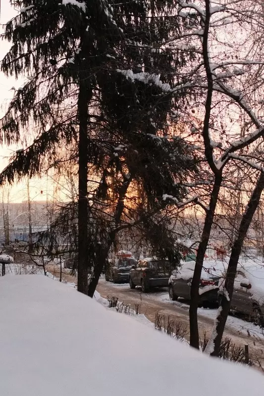 Один день в жизни Стрельны