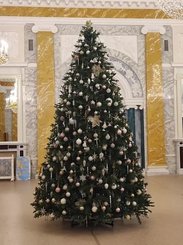 Стрельнинцы благодарят: новогодняя сказка