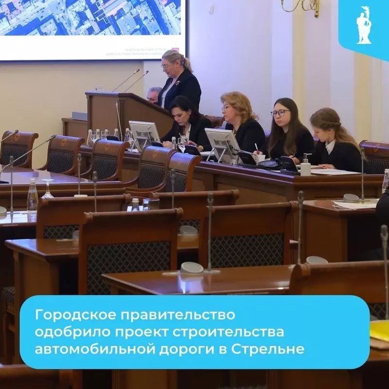 Александр Беглов одобрил строительство дороги в Стрельне