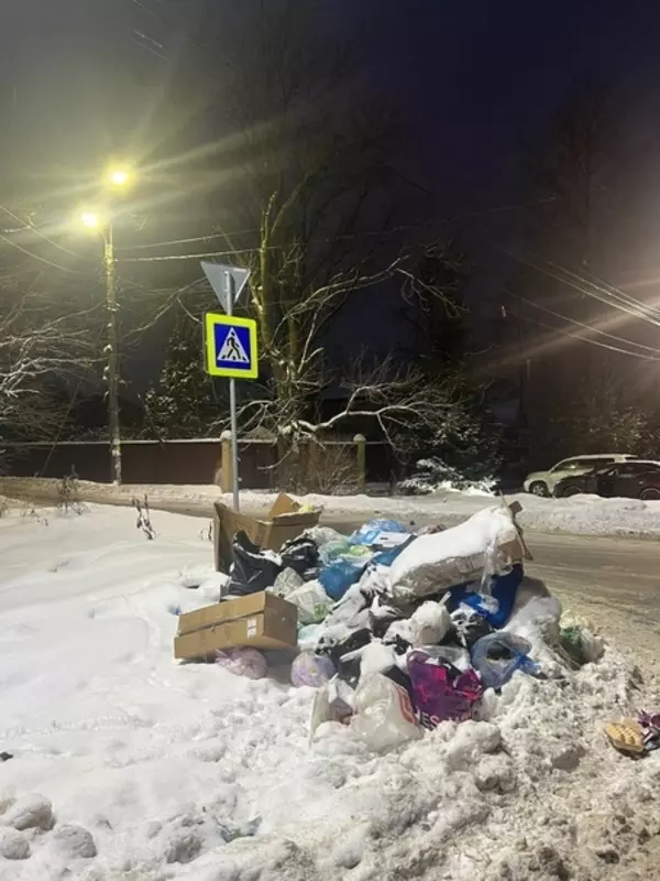 Отсутствие контейнера не повод мусорить или чисто не там, где убирают
