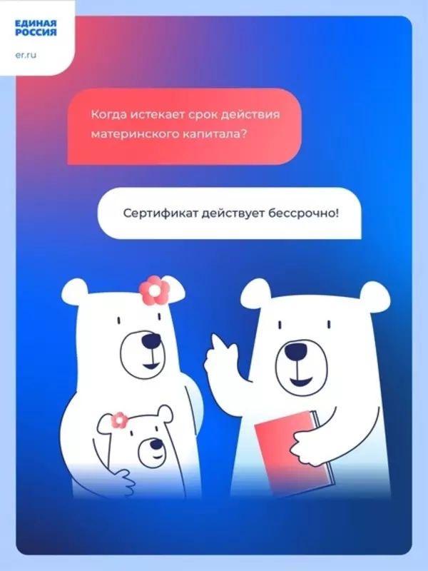 Депутат Елена Сергиеня о сроках использования материнского капитала