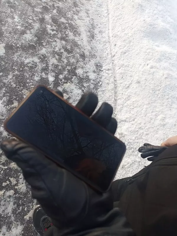 Потеряшки в Стрельне: на Фронтовой найден телефон