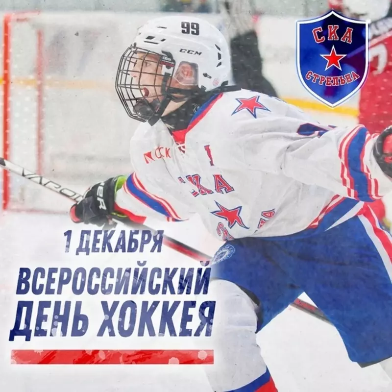 Депутаты МО пос. Стрельна поздравляют со Всероссийским днём хоккея