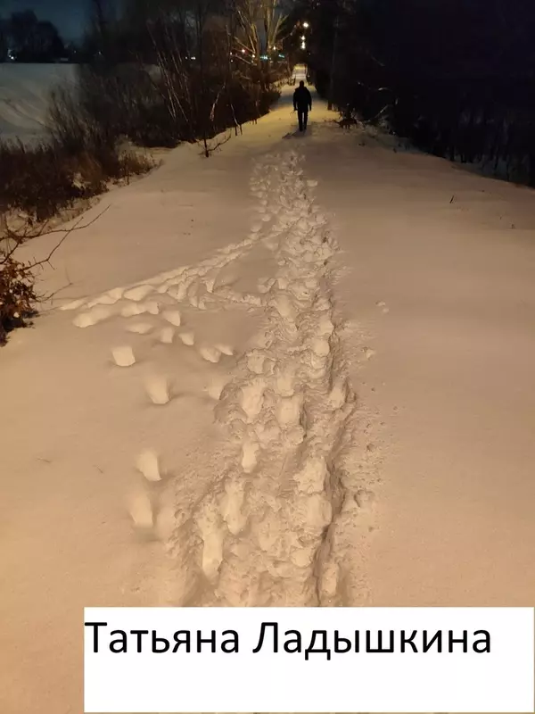 По просьбе жительницы почищена пешеходная дорожка в Стрельне