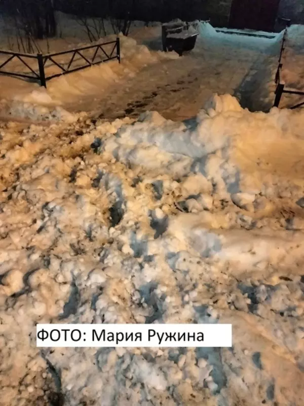 ГУЖА Петродворцового района вместе с управляющей компанией помогут убрать снег на подходе к дому