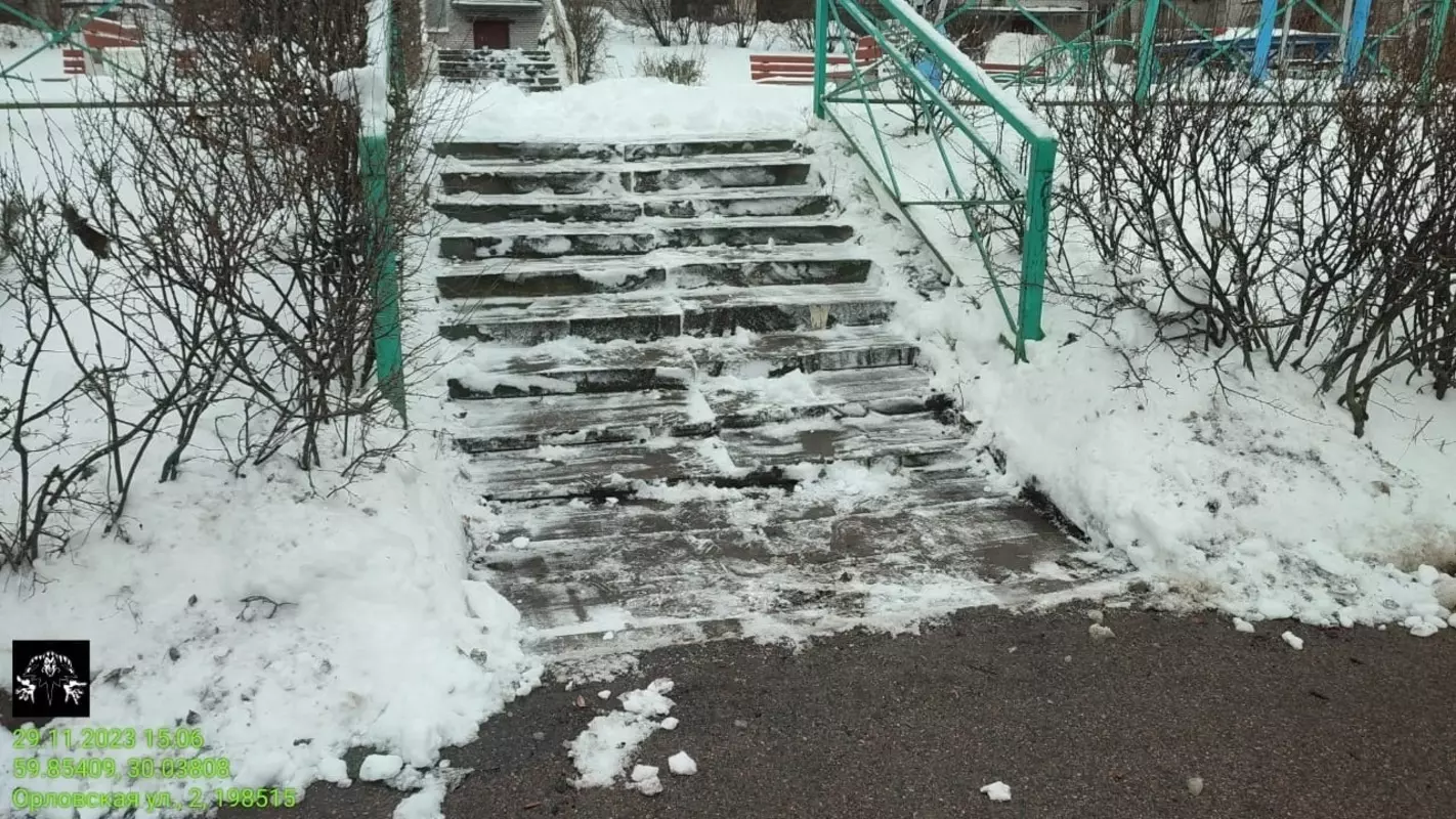 В Стрельне произвели уборку снега