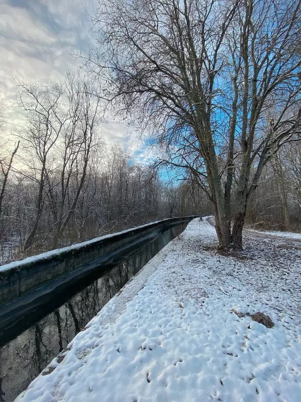 Народная журналистика: стрельнинцам рекомендуют новый маршрут для прогулок