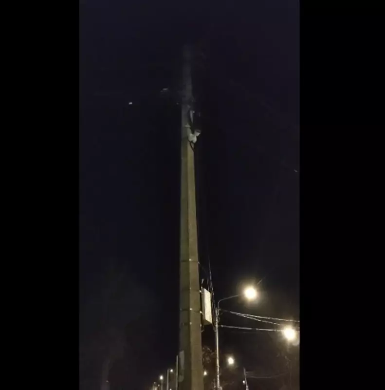 ДТП  в Cтрельне: поиск свидетелей