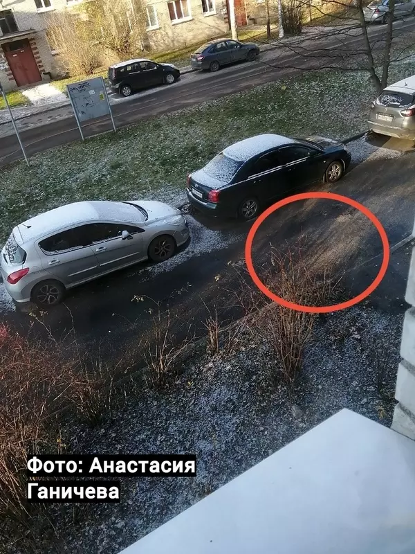 Пересолили ли?