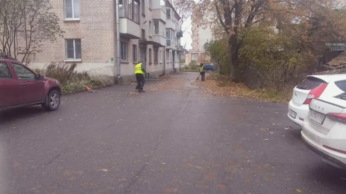 Уборка в Стрельне: тихо мётлами шурша, собирает лист ГУЖА