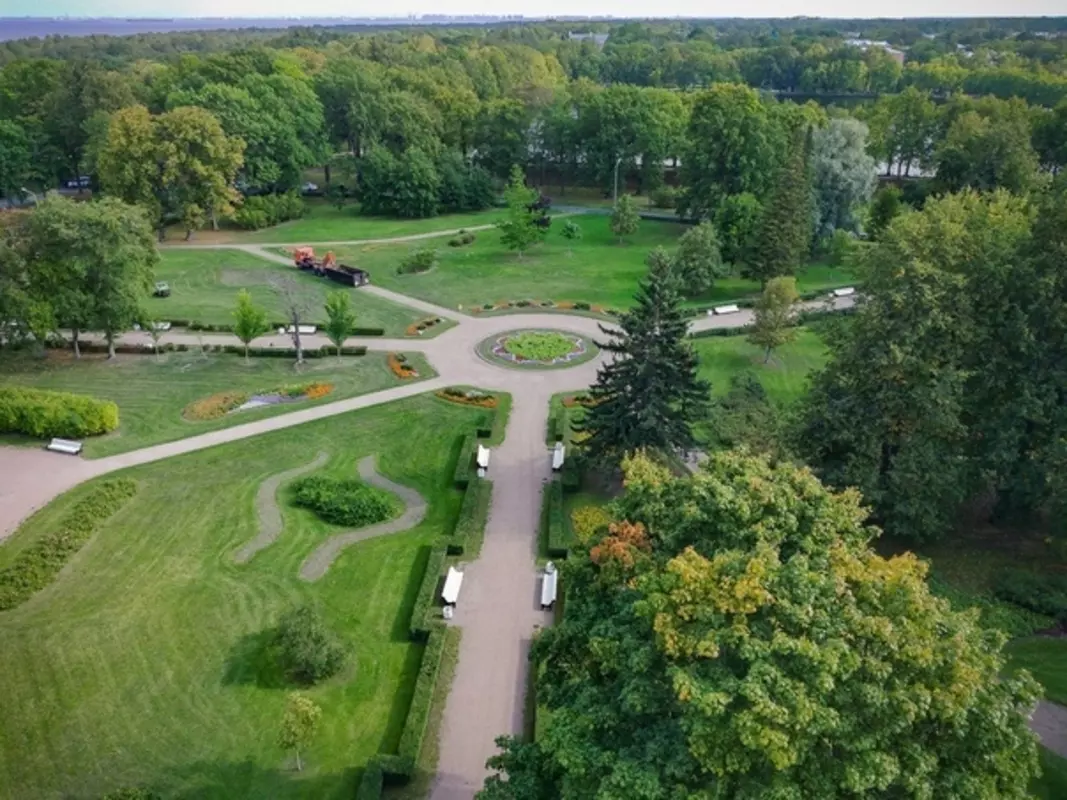 Территории в Стрельне приобретут статус ЗНОП городского значения