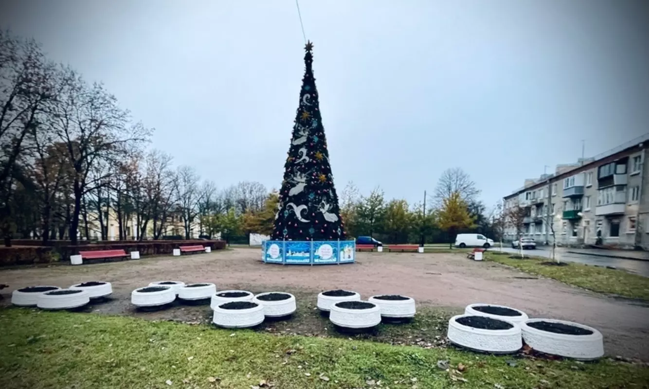 В Стрельне установлена новогодняя ёлка