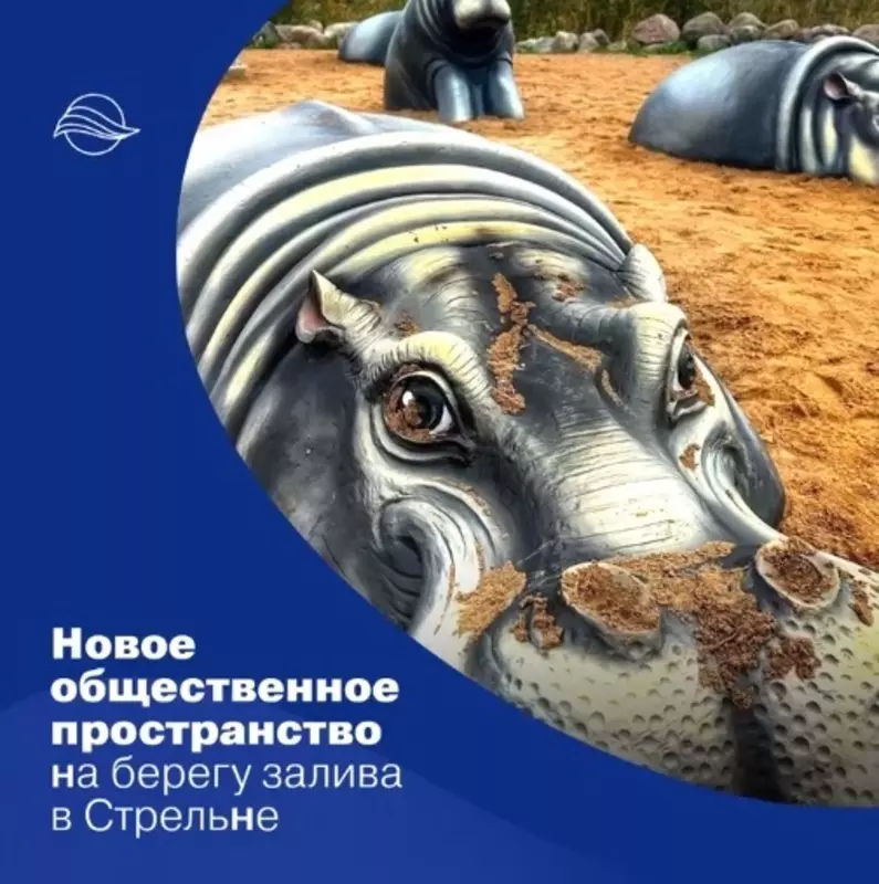 Посетить зону отдыха «Стрельнинская бухта предлагает сообщество района «Балтийская жемчужина»
