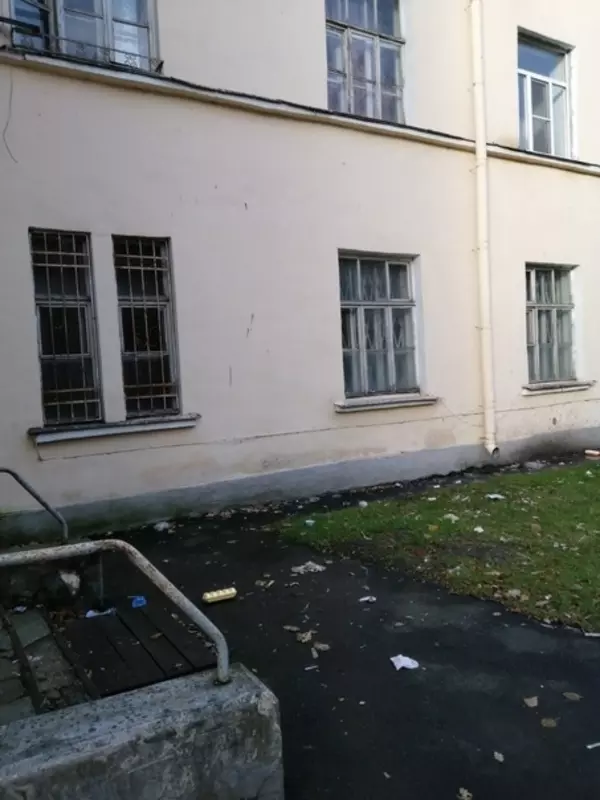 Жители Стрельны на Фронтовой продолжают мусорные бесчинства